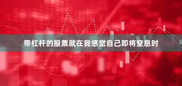 带杠杆的股票就在我感觉自己即将窒息时