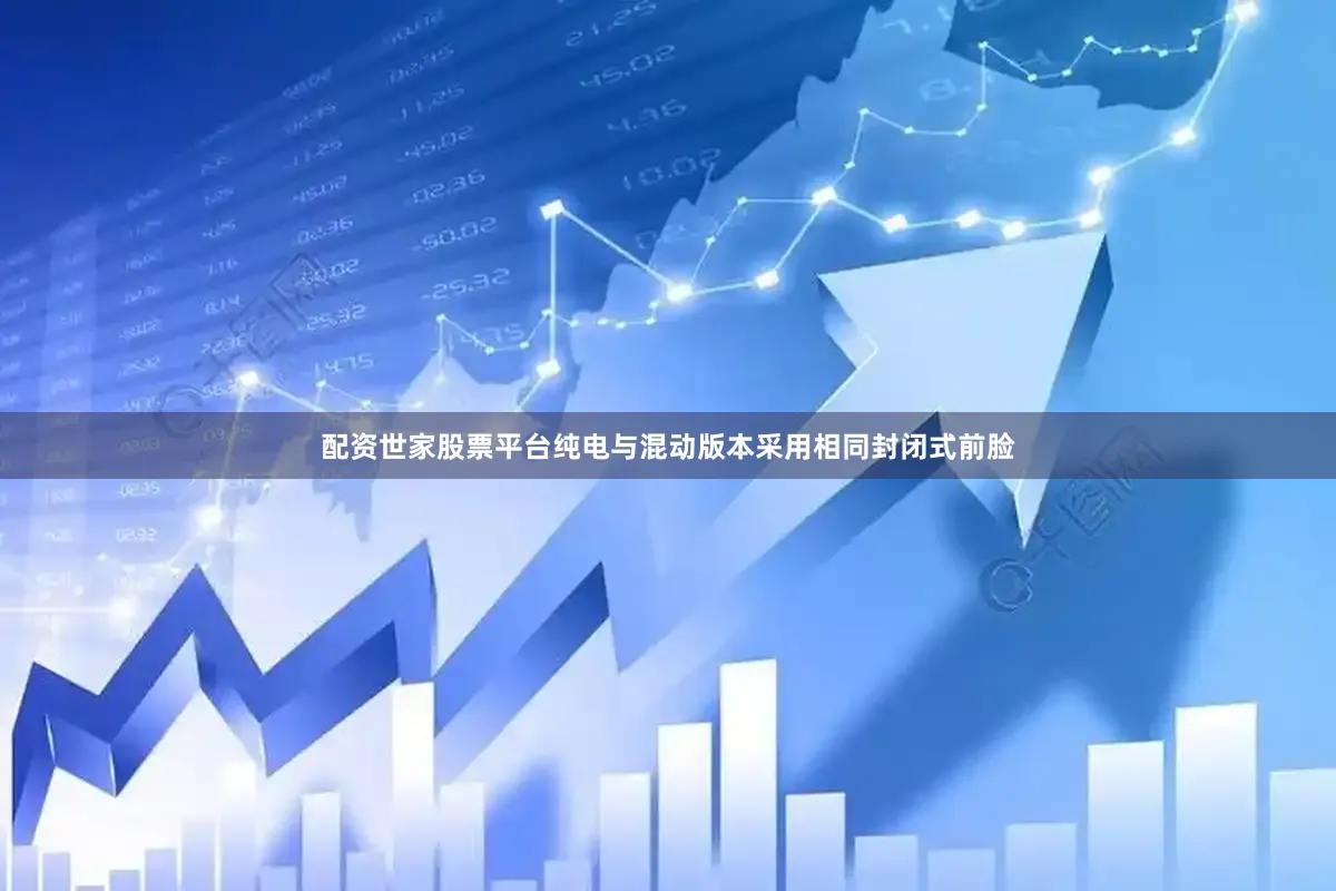 配资世家股票平台纯电与混动版本采用相同封闭式前脸