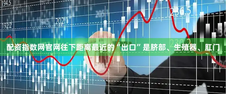 配资指数网官网往下距离最近的“出口”是脐部、生殖器、肛门