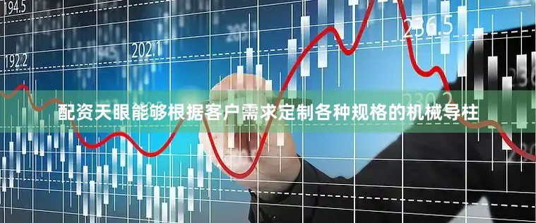 配资天眼能够根据客户需求定制各种规格的机械导柱