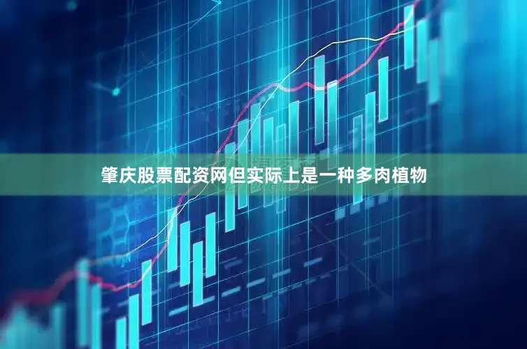 肇庆股票配资网但实际上是一种多肉植物