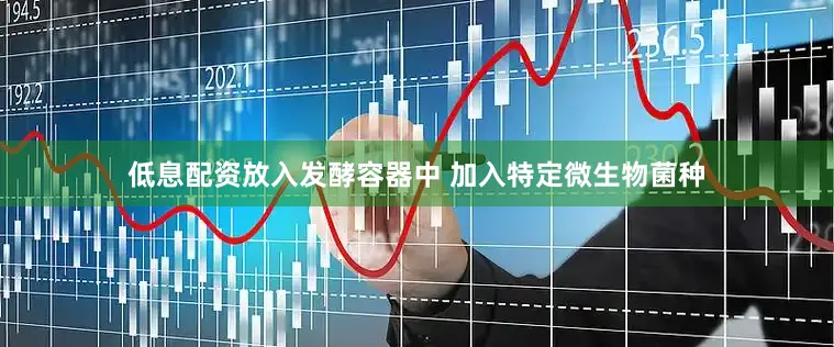 低息配资放入发酵容器中 加入特定微生物菌种
