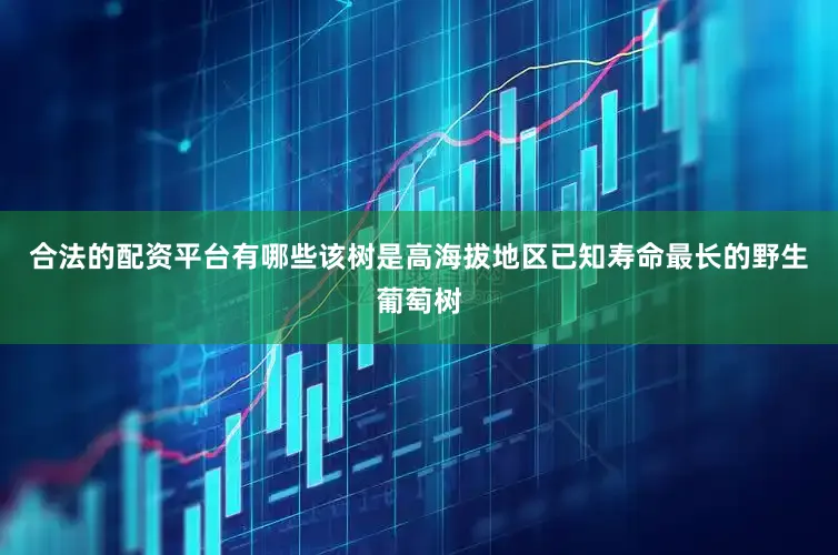 合法的配资平台有哪些该树是高海拔地区已知寿命最长的野生葡萄树