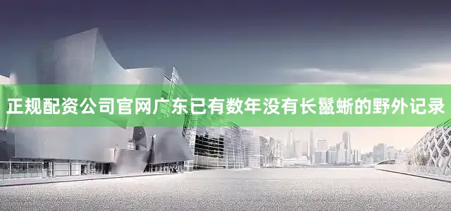 正规配资公司官网广东已有数年没有长鬣蜥的野外记录