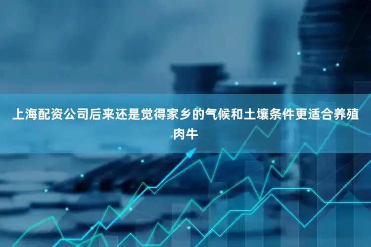 上海配资公司后来还是觉得家乡的气候和土壤条件更适合养殖肉牛