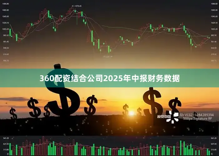 360配资结合公司2025年中报财务数据