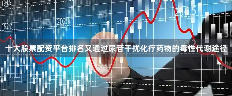 十大股票配资平台排名又通过尿苷干扰化疗药物的毒性代谢途径