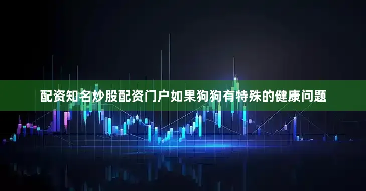 配资知名炒股配资门户如果狗狗有特殊的健康问题